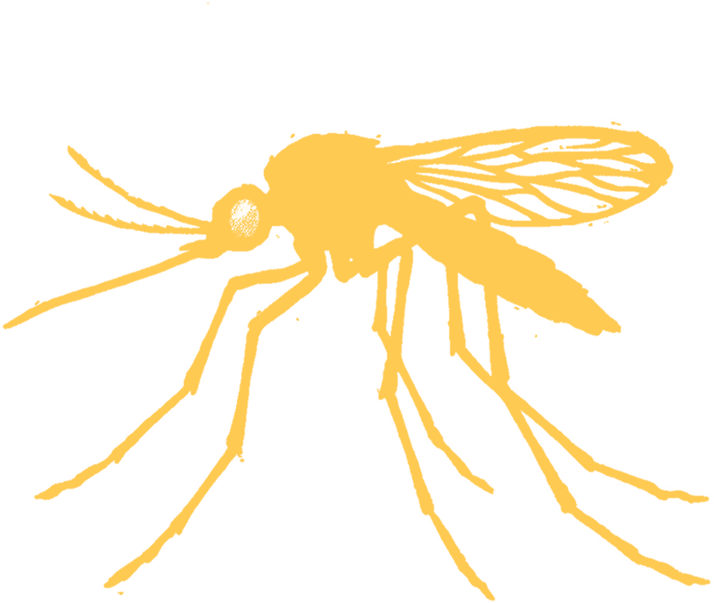 Mozz Logo - Mosquito